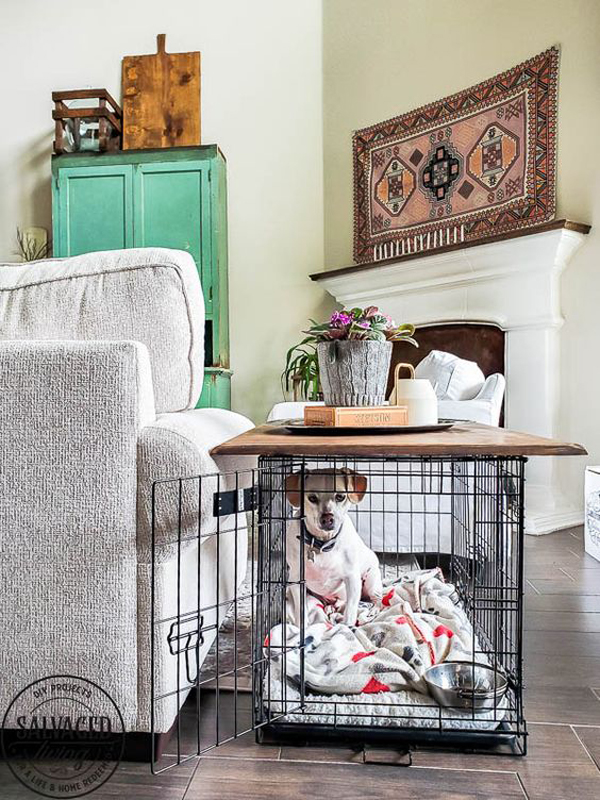 dog-crate-tabletop-design