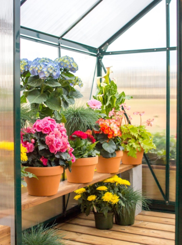 greenhouse-flower-garden-ideas