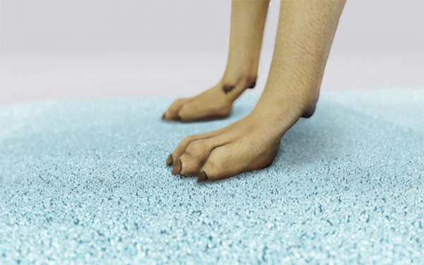 hight-tech-pet-mat-dry