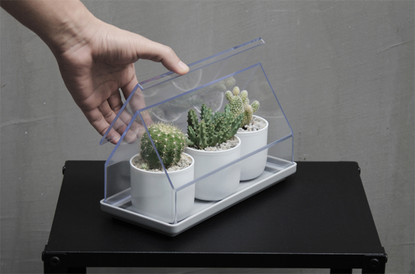 micro-green-house-cactus-plant-tray