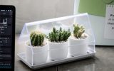 micro-green-house-plant-tray-design