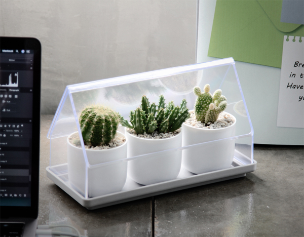 micro-green-house-plant-tray-design