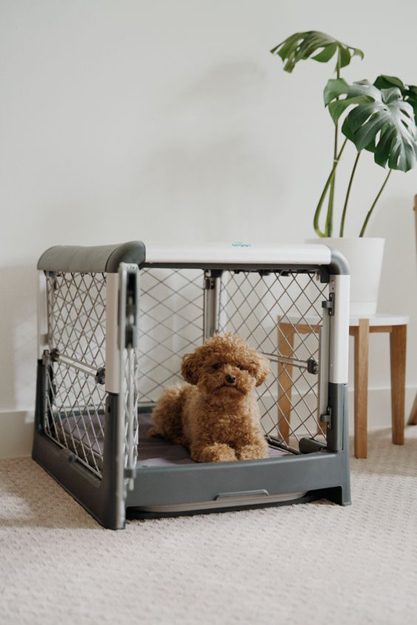 simple-dog-crates-ideas