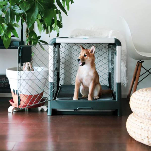 stylish-dog-crates-for-home-decor