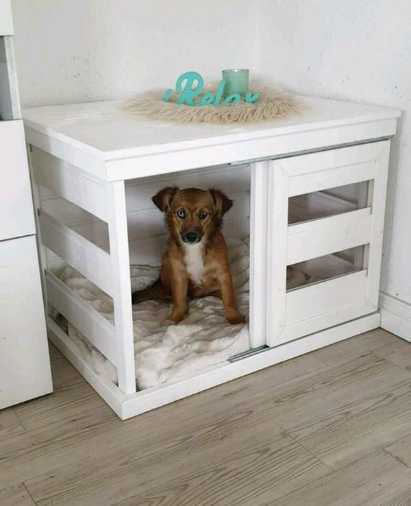 wood-diy-dog-crates-in-the-corner