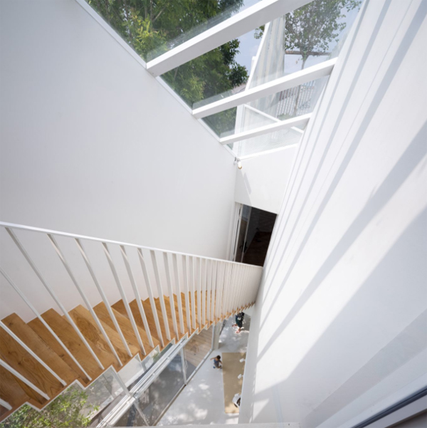 amazing-wood-staircase-with-natural-light