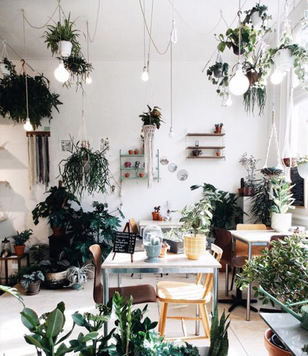 beautiful-scandinavian-dining-room-with-plants