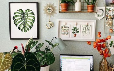 best-tiny-office-houseplants