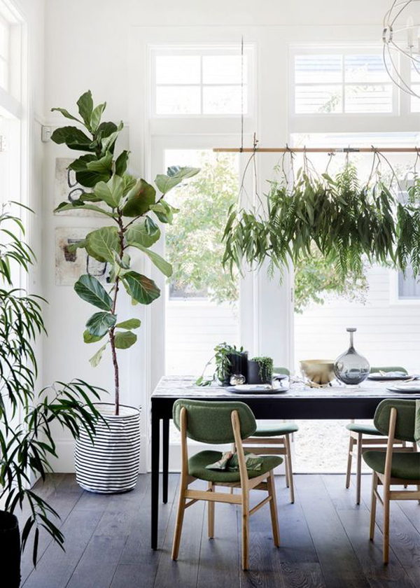farmhouse-style-dining-room-design-with-plants