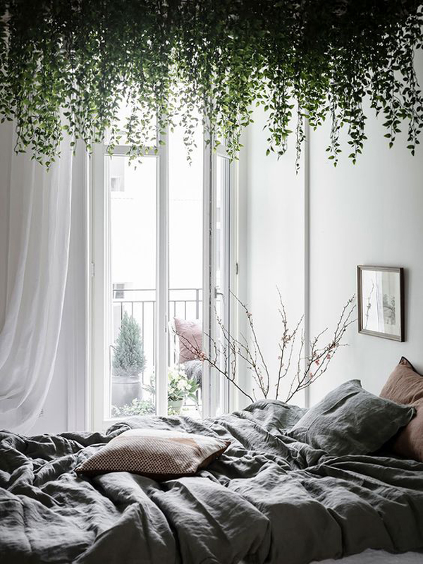 indoor-ceiling-vines-in-bedroom