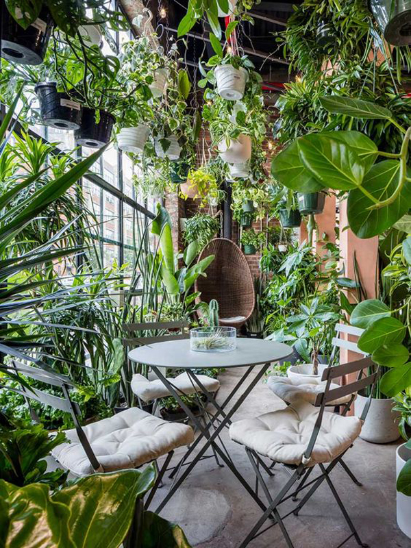 indoor-jungle-look-with-dining-room