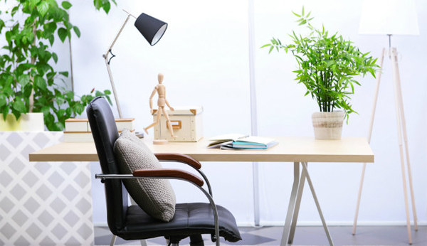 mini-bamboo-houseplant-for-office-desk