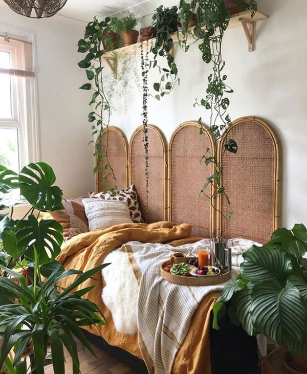 natural-vines-plants-in-bedroom