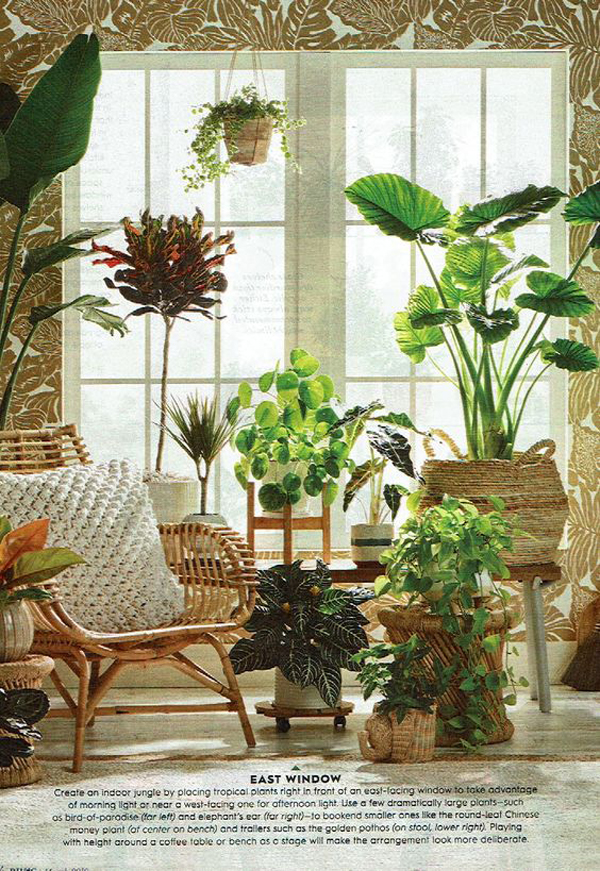 beautiful-rattan-plant-stand-decor-ideas