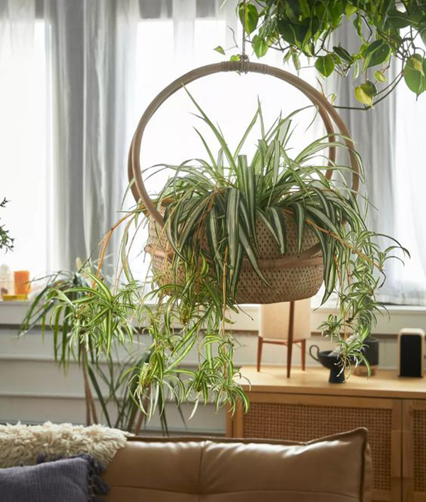 indoor-hanging-rattan-plant-decor