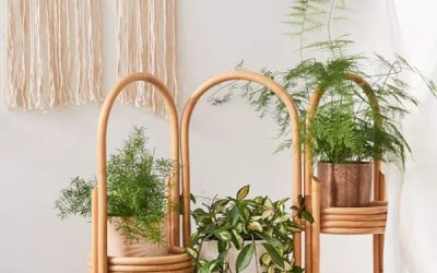 three-rattan-plant-stand-decor