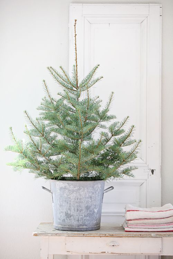 vintage-christmas-tree-with-bucket-pot