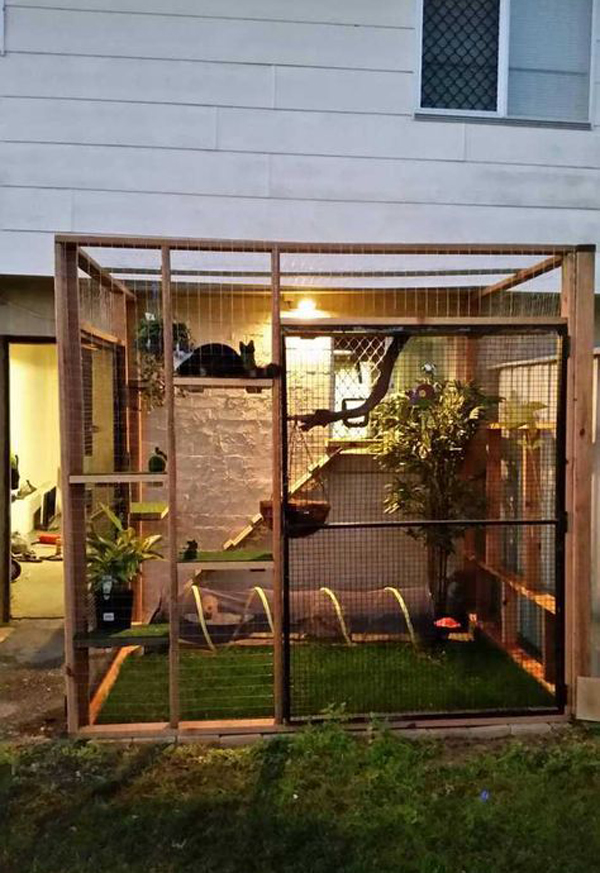 backyard-cat-playground-ideas