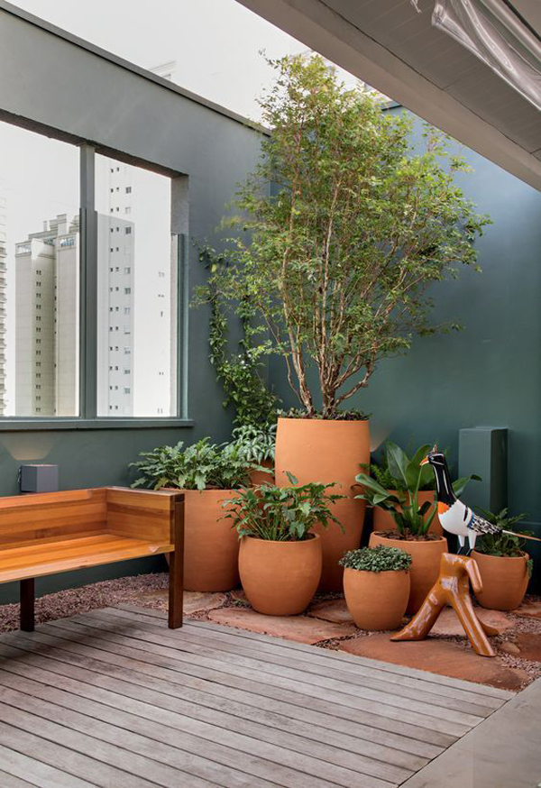 large-indoor-corner-plant-decor-with-terracota-pots