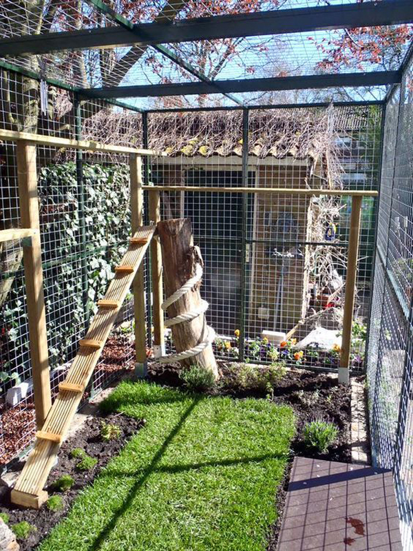 safe-and-smart-outdoor-cat-playground-and-enclosures