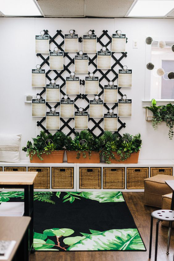 stylish-classroom-decor-with-plant-theme