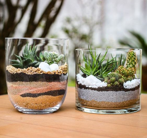 diy-succulent-glass-decor-with-aesthetic-sand