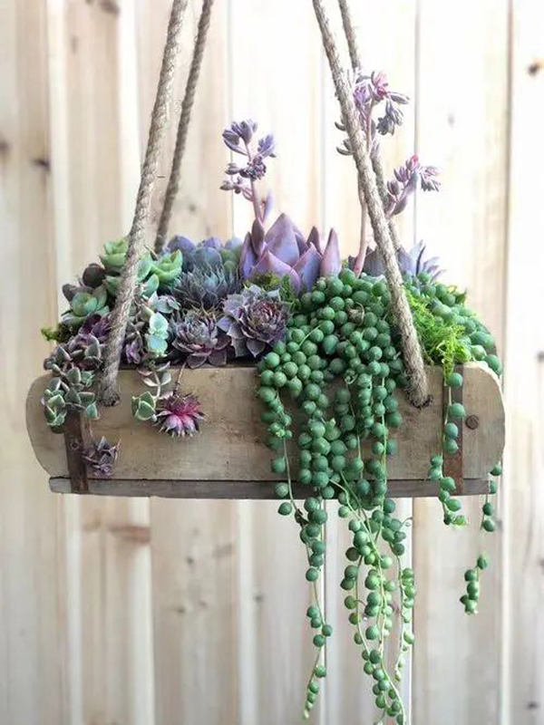 diy-succulent-hanging-garden-ideas