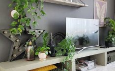 grey-tv-room-decor-with-vines