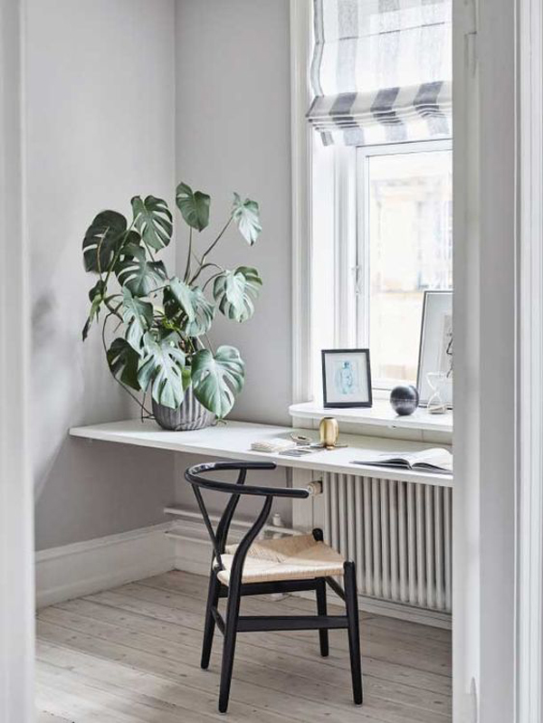 home-office-decor-with-monstera-plants