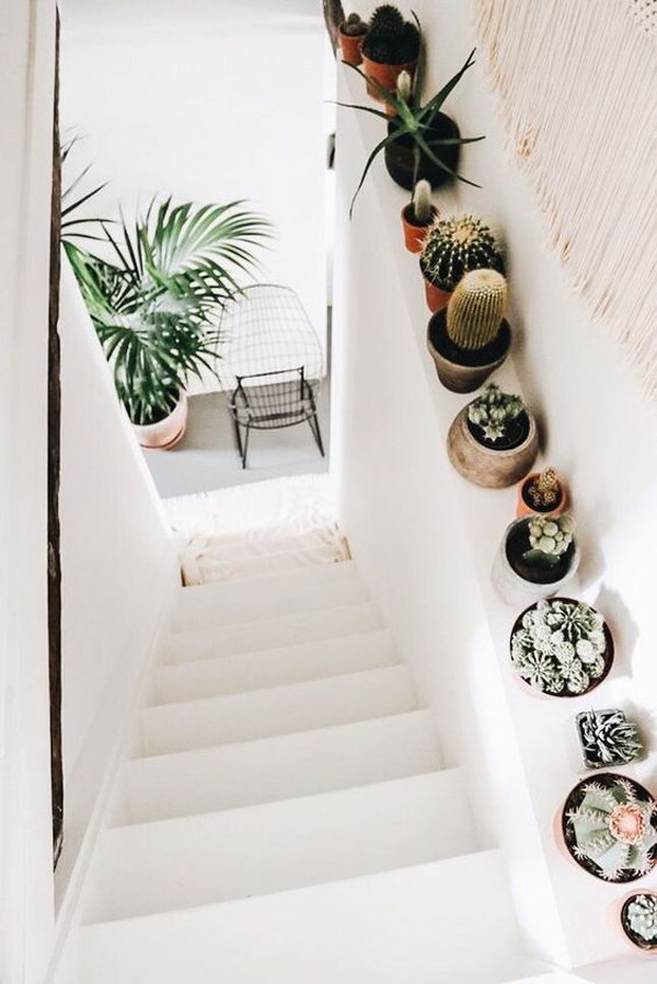 trendy-indoor-cactus-decor-in-the-stairs