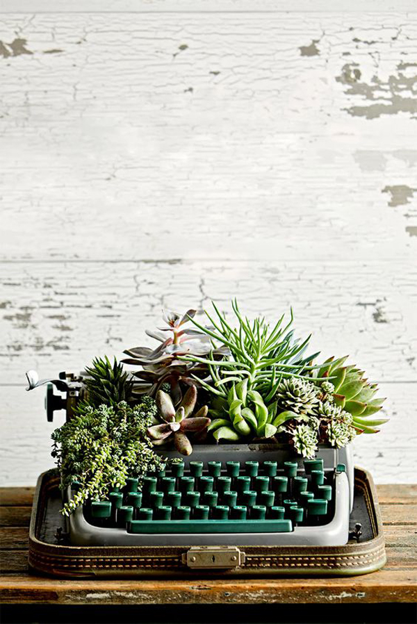 upcycled-diy-succulent-decor-with-typewriter