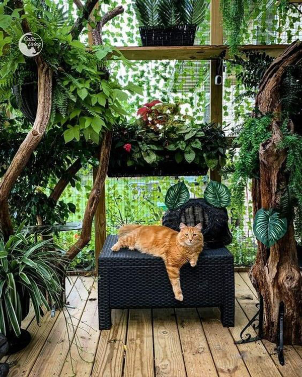 cat-balcony-garden-decor-ideas