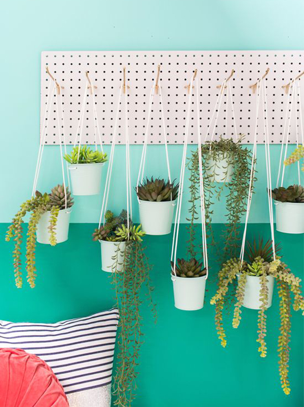cool-small-pegboard-hanging-plants