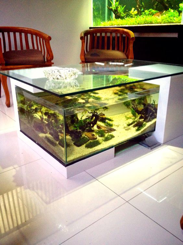 cozy-aquarium-table-with-wooden-table