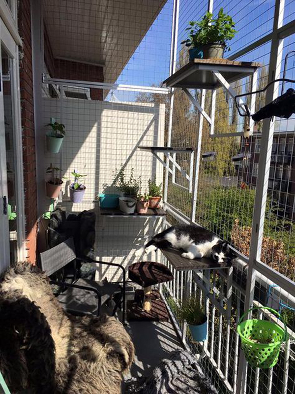 cozy-cat-balcony-enclosure-garden