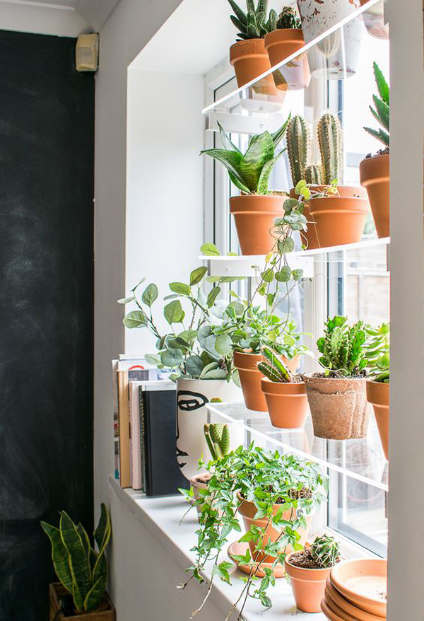 indoor-window-garden-with-acrylic-shelf