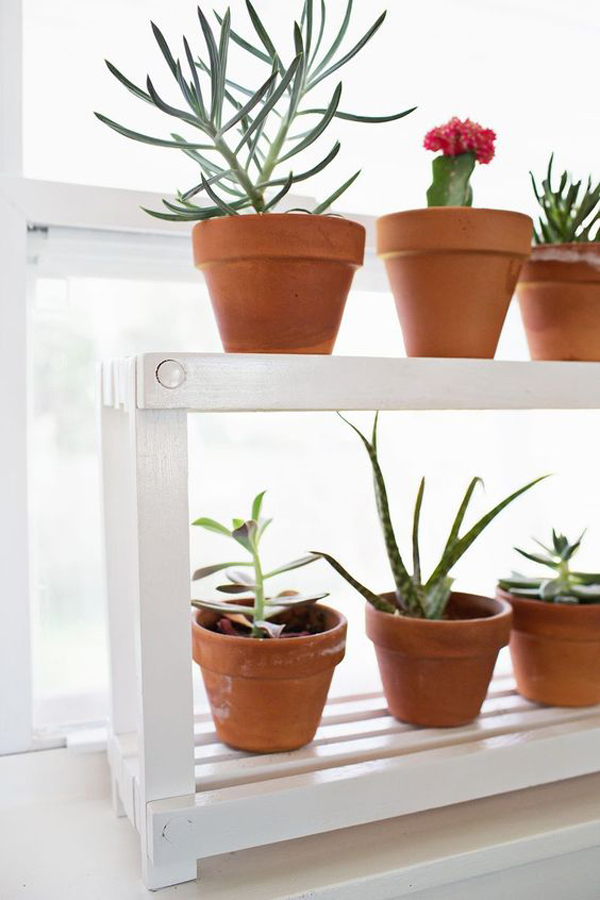 indoor-window-planter-pot-racks