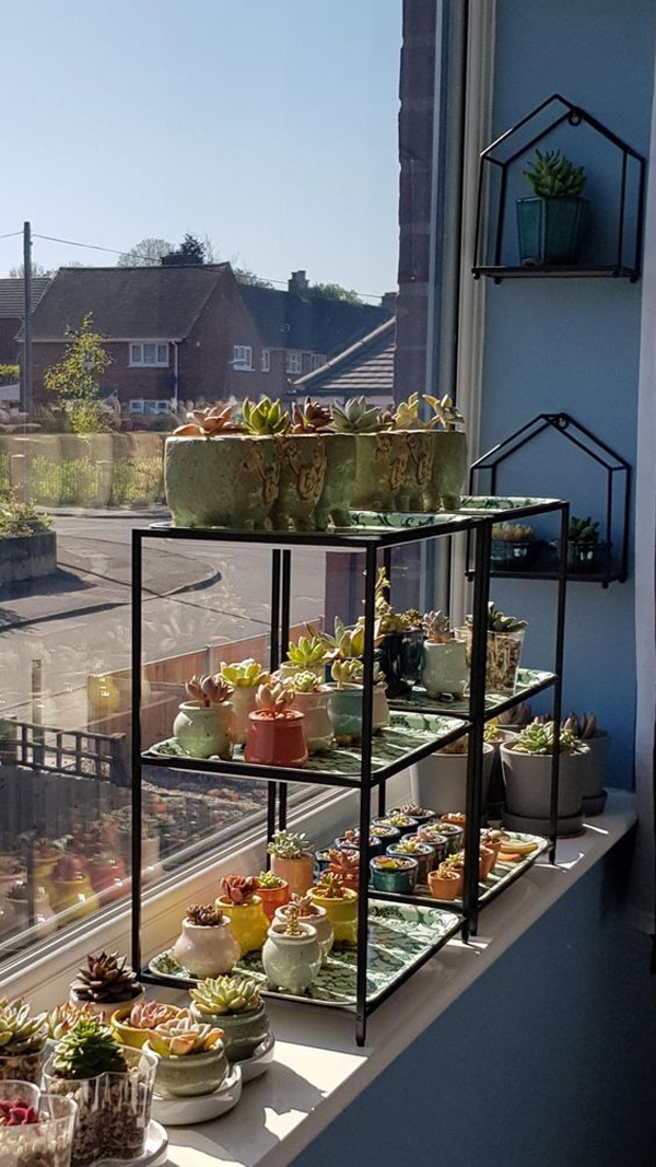 mini-succulent-window-plant-shelf-ideas