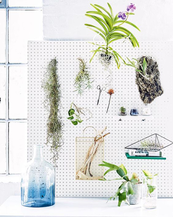 minimalist-pegboard-plant-display-ideas