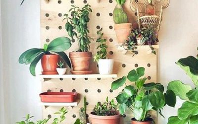 simple-diy-pegboard-plant-wall