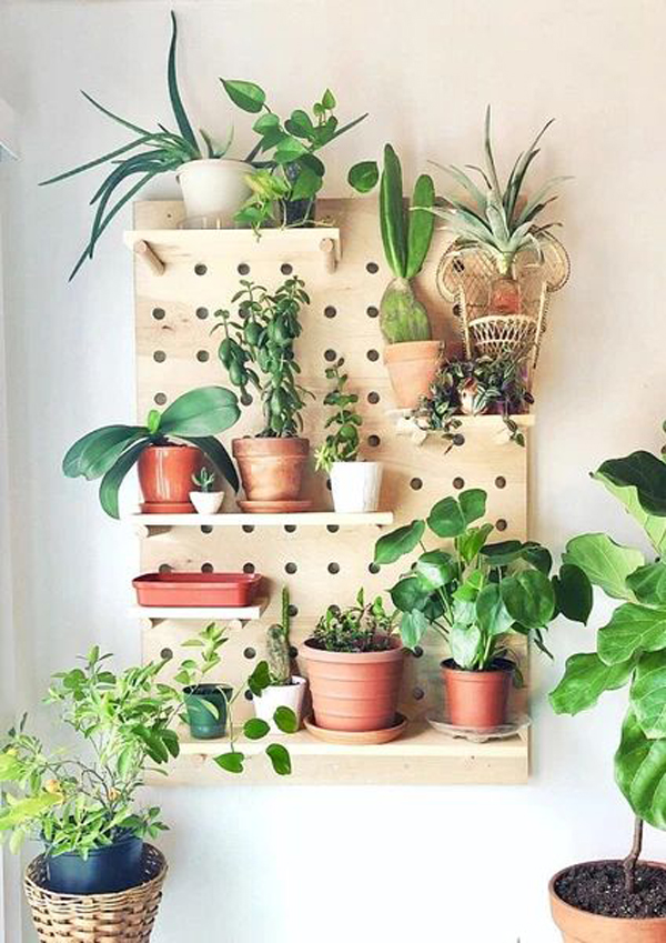 simple-diy-pegboard-plant-wall