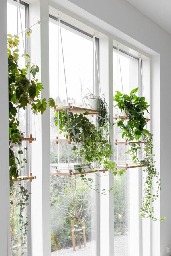wood-hanging-plants-decor-for-window