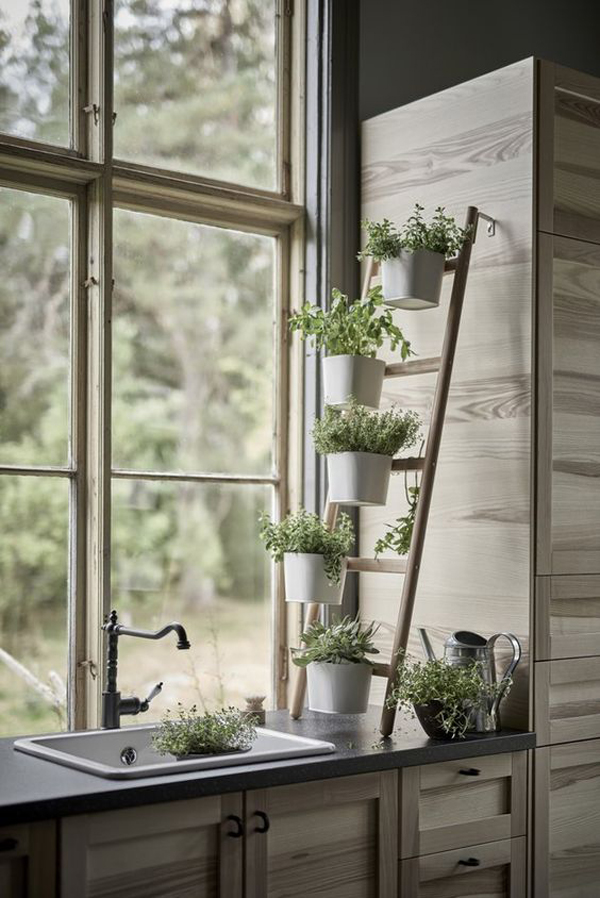 wood-ladder-window-plant-shelf-in-the-kitchen