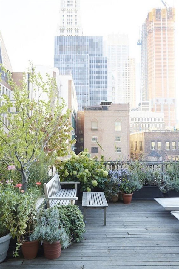 cozy-urban-roof-garden-with-wooden-benches