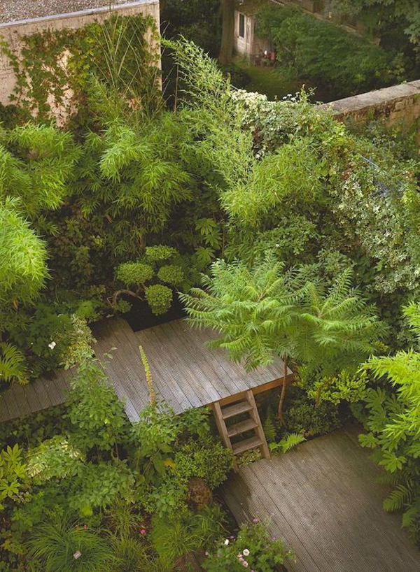 jungle-roof-garden-for-urban-life