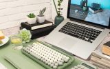 greenery-desk-office-cubicle-decor