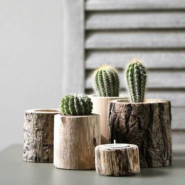 tiny-tree-stump-pots-for-cactus