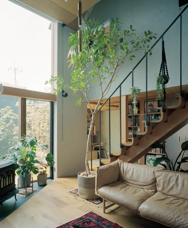 under-stairs-living-room-with-indoor-plants