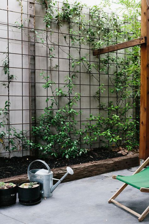 backyard-privacy-ideas-with-trellis-planters