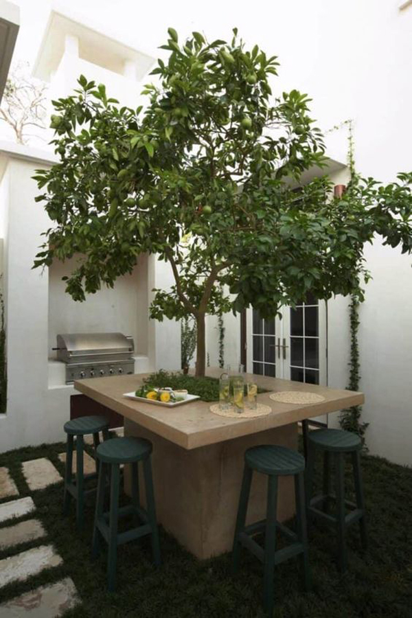 beautiful-courtyard-garden-with-dining-around-trees